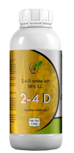 2-4 D